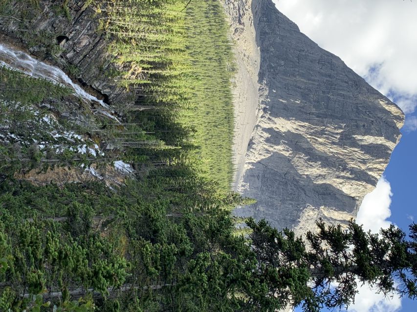 PRIVATE: Bear Country Hiking Tour - 4H Adventure - What to bring for a comfortable 4-hour hike