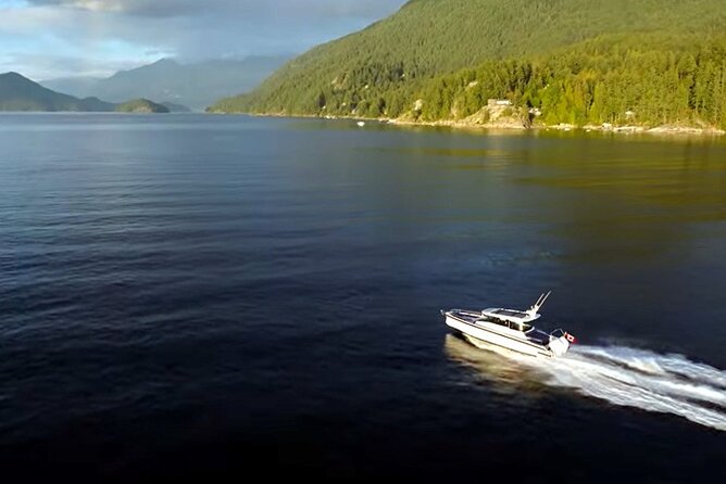 Private Boat Charter Explore Southern Gulf Islands Tour - Wildlife moments on the water: how to actually enjoy them