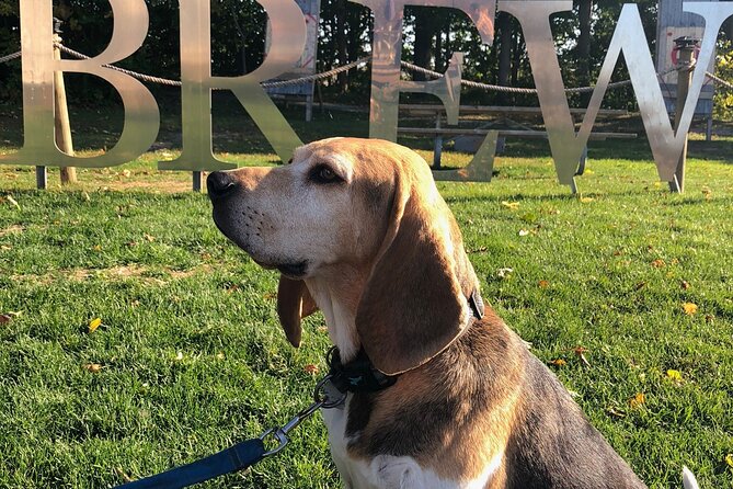 Private:Brewery, Winery, and Cider & Spirit Tastings Tour in SW Ontario - The Value Play: Tastings Included, Tickets Handled, No Drinking and Driving