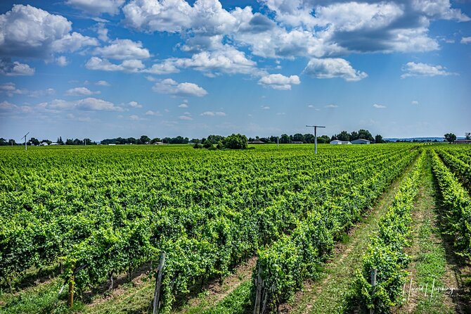Private Customizable Scenic Niagara Boutique-Winery Day Tour - Who this Niagara winery day tour fits best