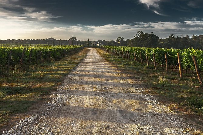 Private Customizable Wine-Tasting Adventure/Day Tour Niagara - Up to five wineries, plus the real cost of tastings