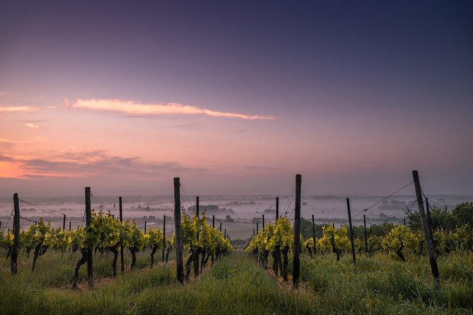 Private Customizable Wine-Tasting Adventure/Day Tour Niagara - Travel time, pacing, and how to make a 7 to 8 hour day feel good