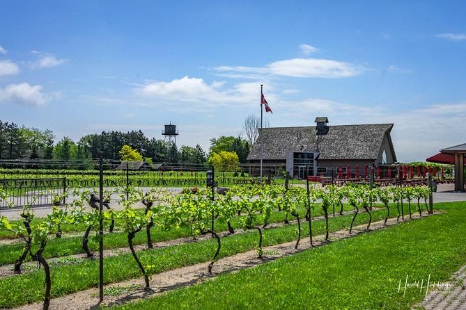 Private Customizable Wine-Tasting Adventure/Day Tour Niagara - Border and passport: plan for the paperwork, then enjoy the ride