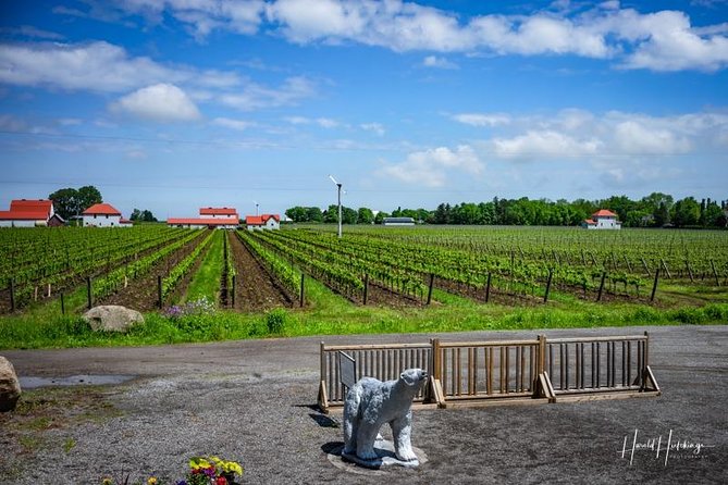 Private Customizable Wine-Tasting Adventure/Day Tour Niagara - Who this tour is best for in Niagara Falls