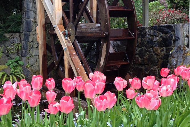Private Deluxe Tour of Victoria & to Butchart Gardens (5 hrs) - A half-day plan that hits Victoria plus Butchart Gardens