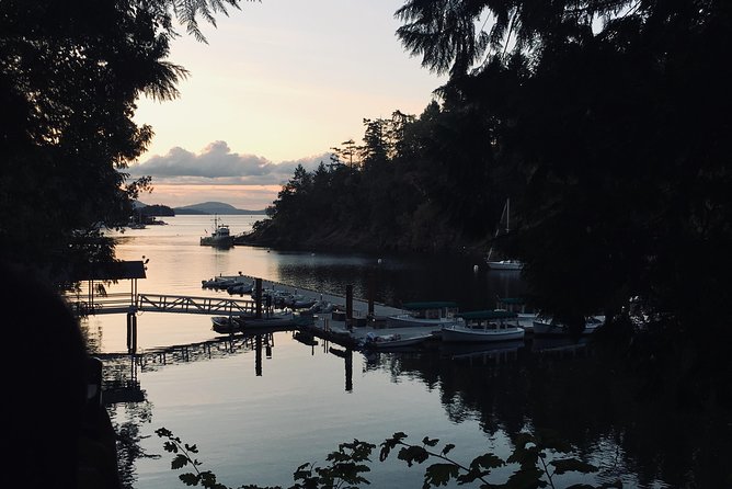 Private Deluxe Tour of Victoria & to Butchart Gardens (5 hrs) - Fan Tan Alley: a quick dose of Chinatown history