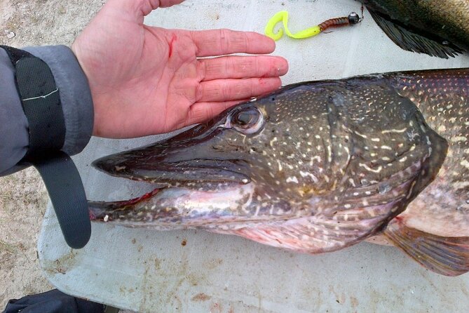 Private Fishing Adventure on the St. Lawrence River - Fishing license and weather: two rules you should treat seriously