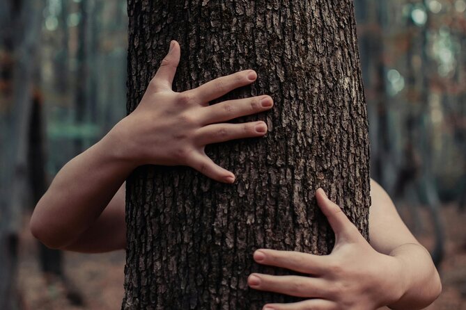Private Forest Bathing Experience Connect with Nature - The lake and forest setting: sensory attention you can feel