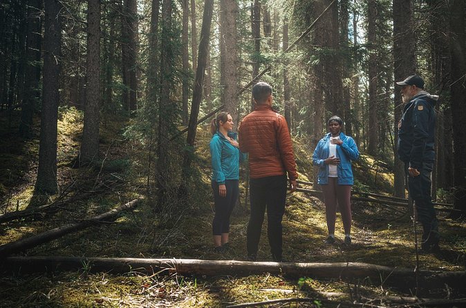 Private Forest Bathing Experience Connect with Nature - Price and value: what $261.40 per person is really buying
