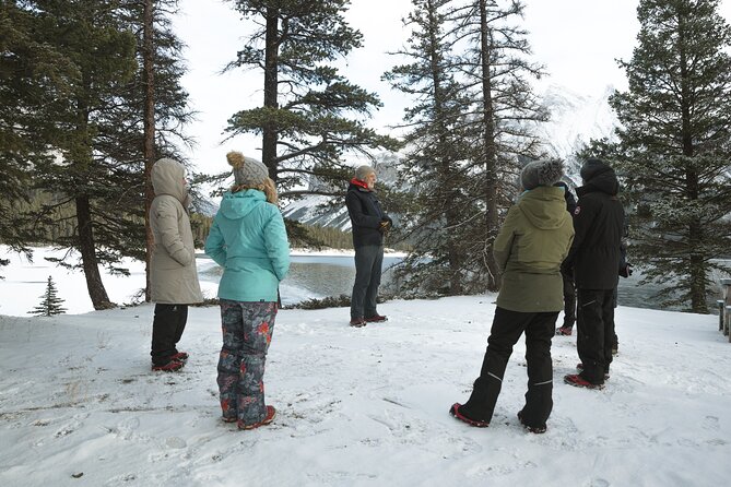 Private Forest Bathing Experience Connect with Nature - Who this is perfect for in Banff