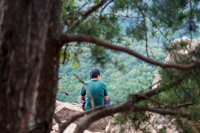Private Forest Bathing Experience Connect with Nature - The 2.5 hours: what happens from start to finish
