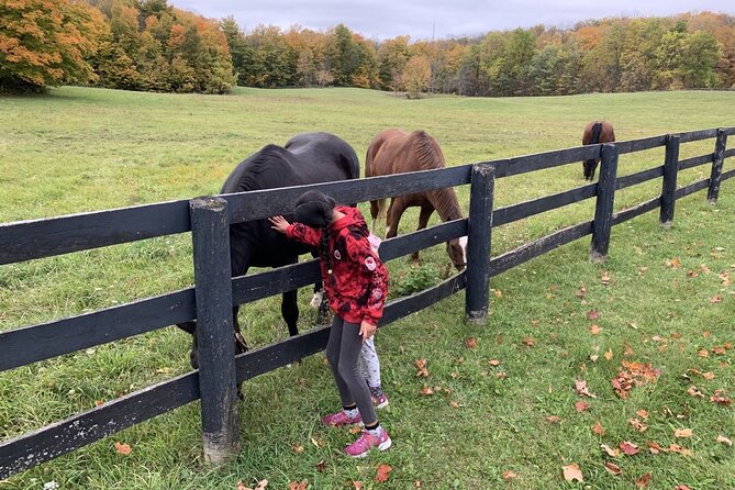Private Greater Toronto DriveSpa Tour with Lunch - Spirit Tree Estate Cidery lunch combo: stone oven pizza and apple cider