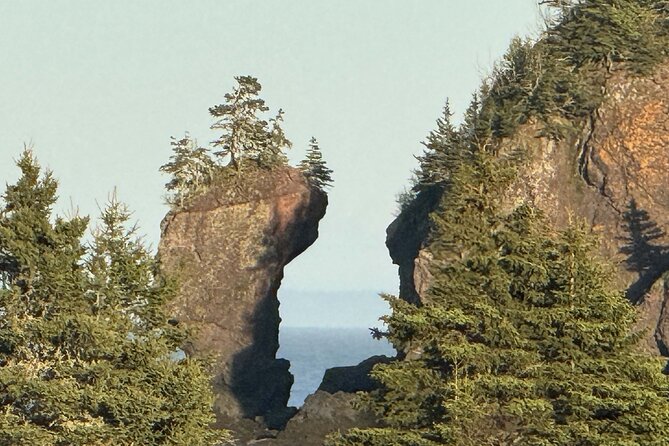 Private Guided Fundy Tour in Saint John - Key things to know before you go