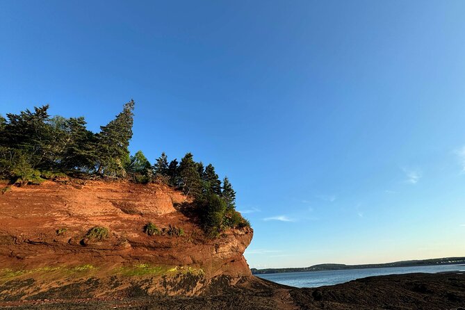 Private Guided Fundy Tour in Saint John - Stops 3 and 4: Carleton Martello Tower and Fort Howe