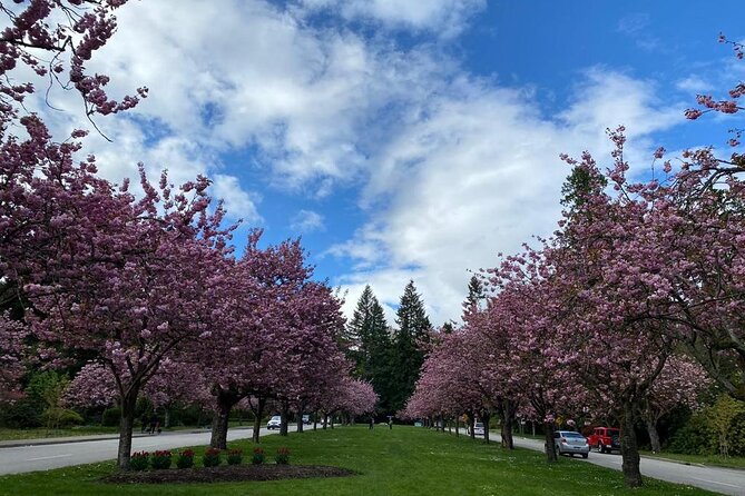 Private Guided Grand City Tour in Vancouver with your luggage - Canada Place and the Olympic touches: cruise-port drama with city symbolism