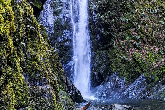 Private Guided Rainforest Hike in Victoria - How the day can expand toward coast and viewpoints