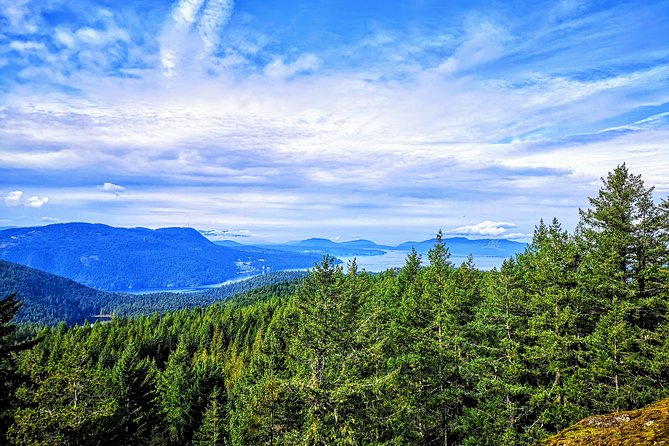 Private Guided Rainforest Hike in Victoria - What to bring and how to plan your fitness level