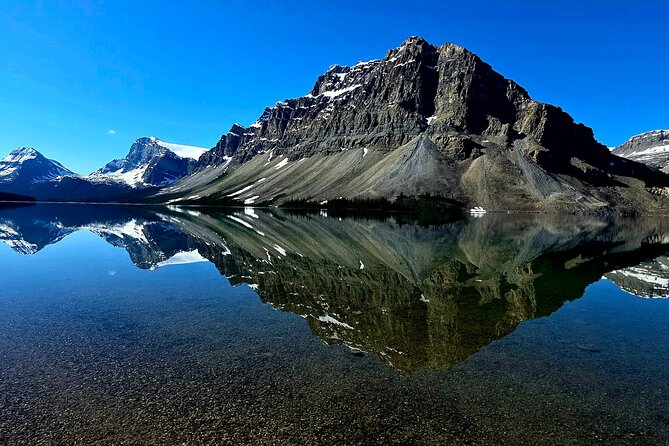 Private Guided Tour to Banff Lake Louise|Moraine|Icefields &More! - Crowfoot Glacier: the “three claw” lesson you can actually use