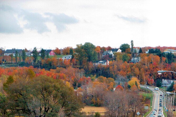Private Montmorency Falls & Orleans Island from Quebec - Hotel pick up - Who This Private Montmorency and Orleans Island Tour Fits Best