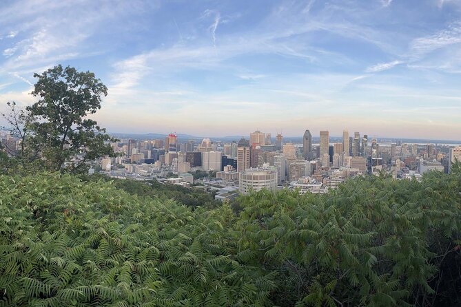 Private Montreal City Tour by Car, History & Hidden Gems - Why this private Montreal car tour is such a smart move