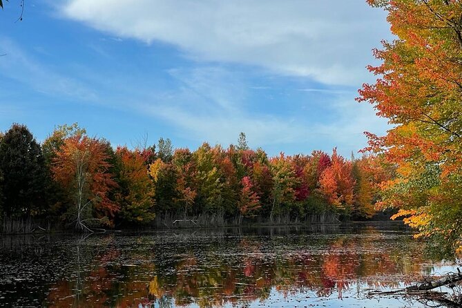 Private Montreal City Tour by Car, History & Hidden Gems - Your 3 to 4 hours: how the day flows (and why the pace works)