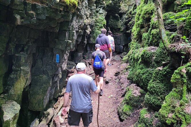 Private Nottawasaga Bluffs Caves Hiking Tour,Collingwood/Creemore - The start: Apple tree lined trail and a slow ramp into cave country