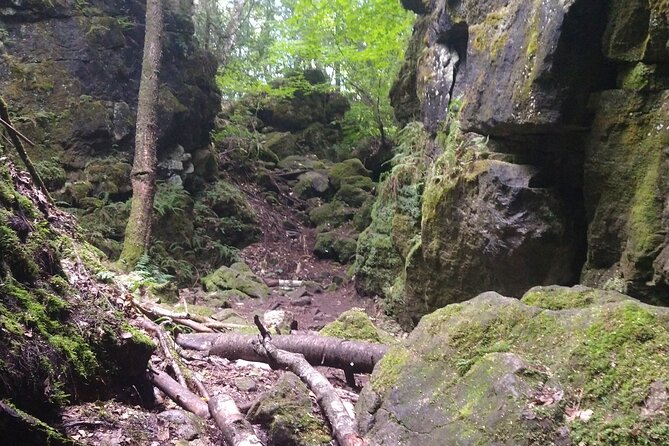 Private Singhampton Caves Hiking Tour, Collingwood/Blue Mountain - Walking into Singhampton Caves with a guide who has a plan