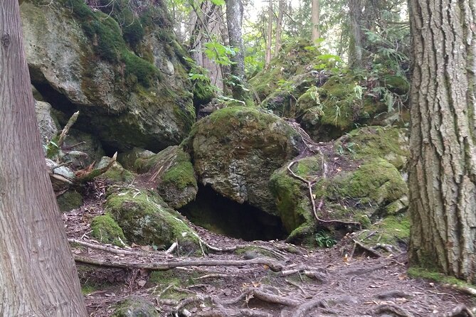 Private Singhampton Caves Hiking Tour, Collingwood/Blue Mountain - What the guide adds, beyond just pointing the way