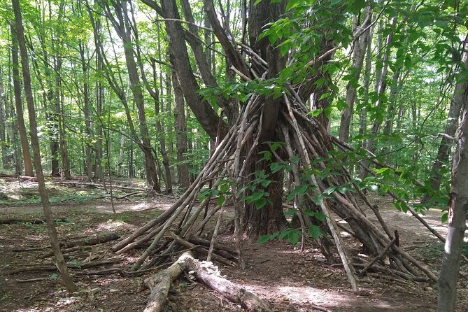 Private Singhampton Caves Hiking Tour, Collingwood/Blue Mountain - Price and value: is $63.80 per person worth it?
