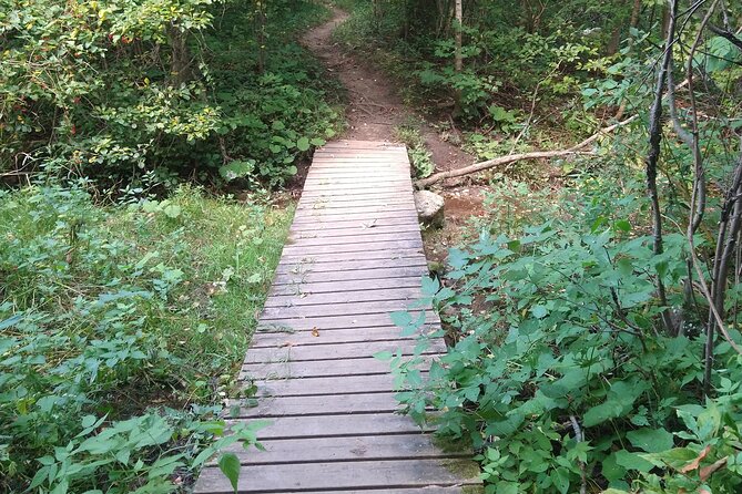 Private Singhampton Caves Hiking Tour, Collingwood/Blue Mountain - What to bring so the hike stays fun, not annoying