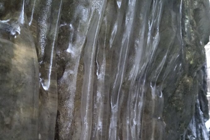 Private Singhampton Caves Snowshoe, Collingwood/Blue Mountain - Singhampton vs Nottawasaga Bluffs: Pick Based on the Cave Feel