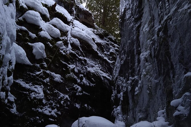 Private Singhampton Caves Snowshoe, Collingwood/Blue Mountain - Pace, Safety, and Why the Guide Matters More Than You Think