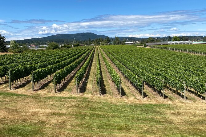 Private Small Group Local Wine, Cider Tasting, Central Saanich - Sea Cider Farm and Ciderhouse: ocean views and three ciders