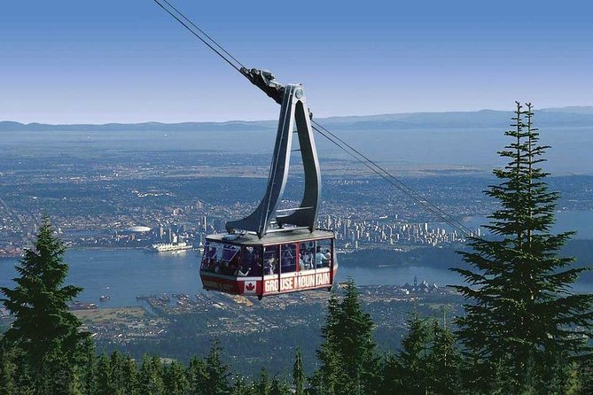 Private Tour: Capilano Suspension Bridge and Grouse Mountain - Private tour price: is $367.78 per person good value?