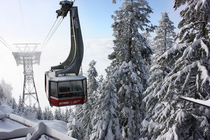 Private Tour: Capilano Suspension Bridge and Grouse Mountain - Capilano Suspension Bridge Park: treetops first, Cliffwalk if you want thrills