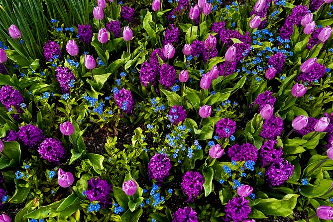 Private Tour Countryside Drive to Butchart Gardens & Victoria - Guide Quality: Why Richard and Steve Are Mentioned for a Reason