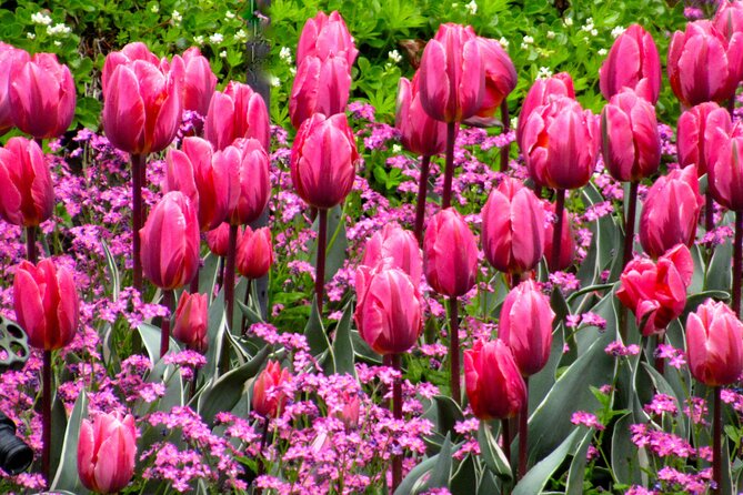 Private Tour Countryside Drive to Butchart Gardens & Victoria - Price and Value: How $850.67 Works for a Group of Up to 5