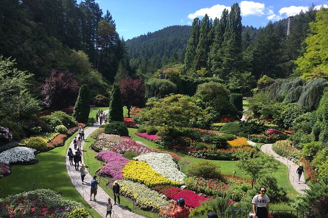 Private Tour Countryside Drive to Butchart Gardens & Victoria - Inner Harbour Orientation: A Fast Start That Helps You Think Clearly