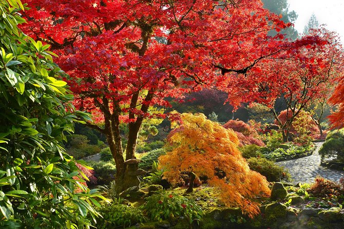Private Tour: Gardens of Vancouver - The Guide and Driver Factor: Comfort Plus Clarity