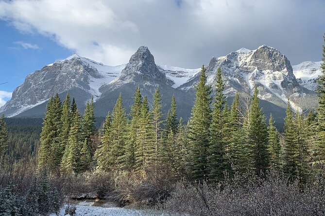 Private Tour: Majestic Mountains PHOTO SAFARI Drive - 4H - How the Guide Helps You Get Better Wildlife Photos