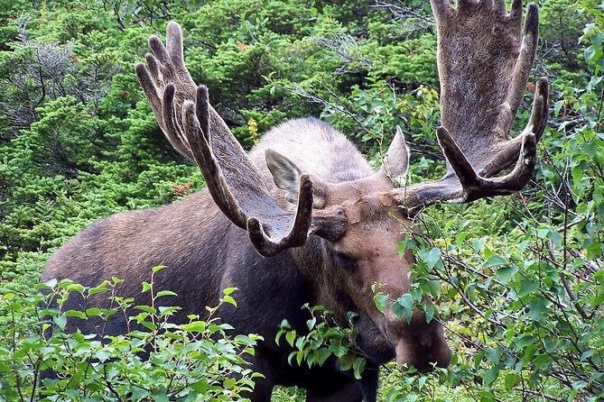 Private Tour: Majestic Mountains PHOTO SAFARI Drive - 4H - Price and Value: When $598 Per Group Makes Sense