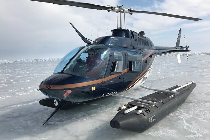 Private Tour: Niagara Falls Helicopter Flight - Price and Value at $299.31 Per Person for a True Private Ride