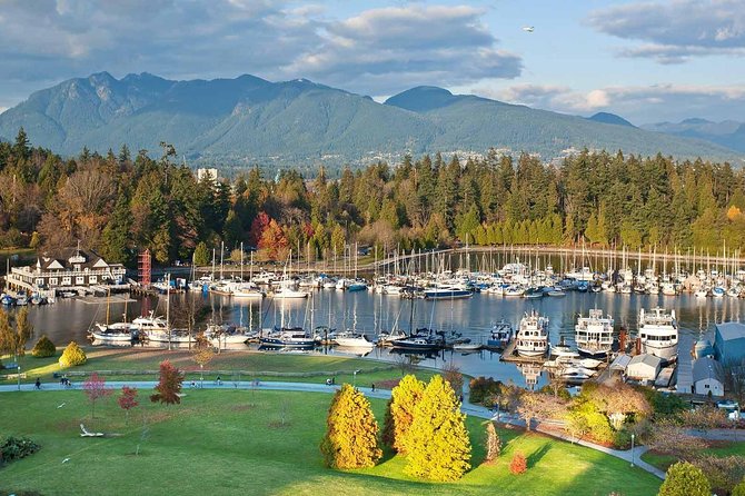 Private Tour: Vancouver Sightseeing and Capilano Suspension Bridge - Driving the Lions Gate Bridge for that signature Vancouver viewpoint