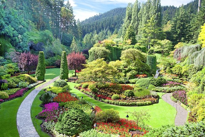 Private Tour: Victoria and Butchart Gardens Day Trip - A private Victoria day trip that starts with comfort