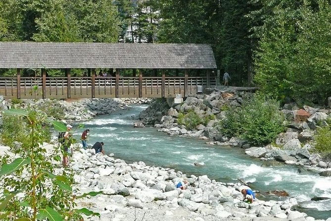 Private Whistler Day Trip from Vancouver - Price and Value at $311.88 Per Person