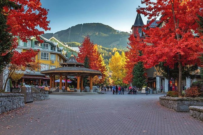 Private Whistler Day Trip from Vancouver - Sea to Sky Highway Scenic Stops That Make the Drive Worth It