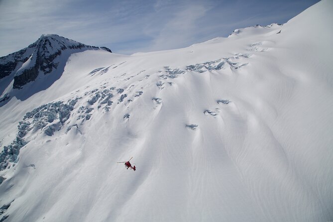 Private Whistler Helicopter Tour + Mountain Landing - Backcountry Flying: Spot Your Favorite Run or Track