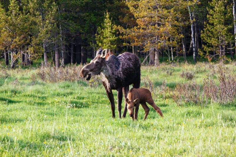 PRIVATE Wilderness and Wildlife Walking Tour - 3hrs - Logistics that matter: timing, meeting point, and the small details