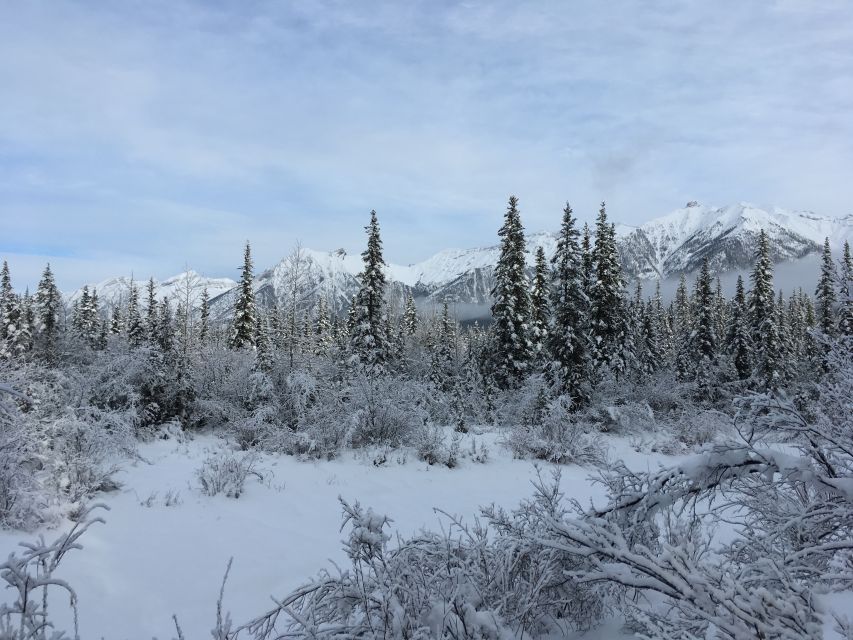 PRIVATE Wilderness and Wildlife Walking Tour - 3hrs - The guided walking time: 150 minutes of nature, with a real learning arc