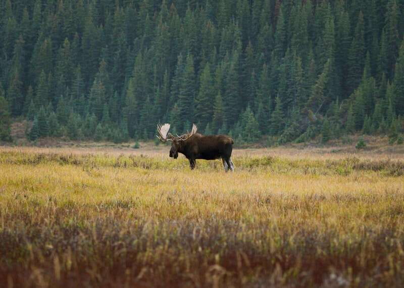 PRIVATE Wilderness and Wildlife Walking Tour - 3hrs - What’s included, what you need to bring, and real value at $329 per group